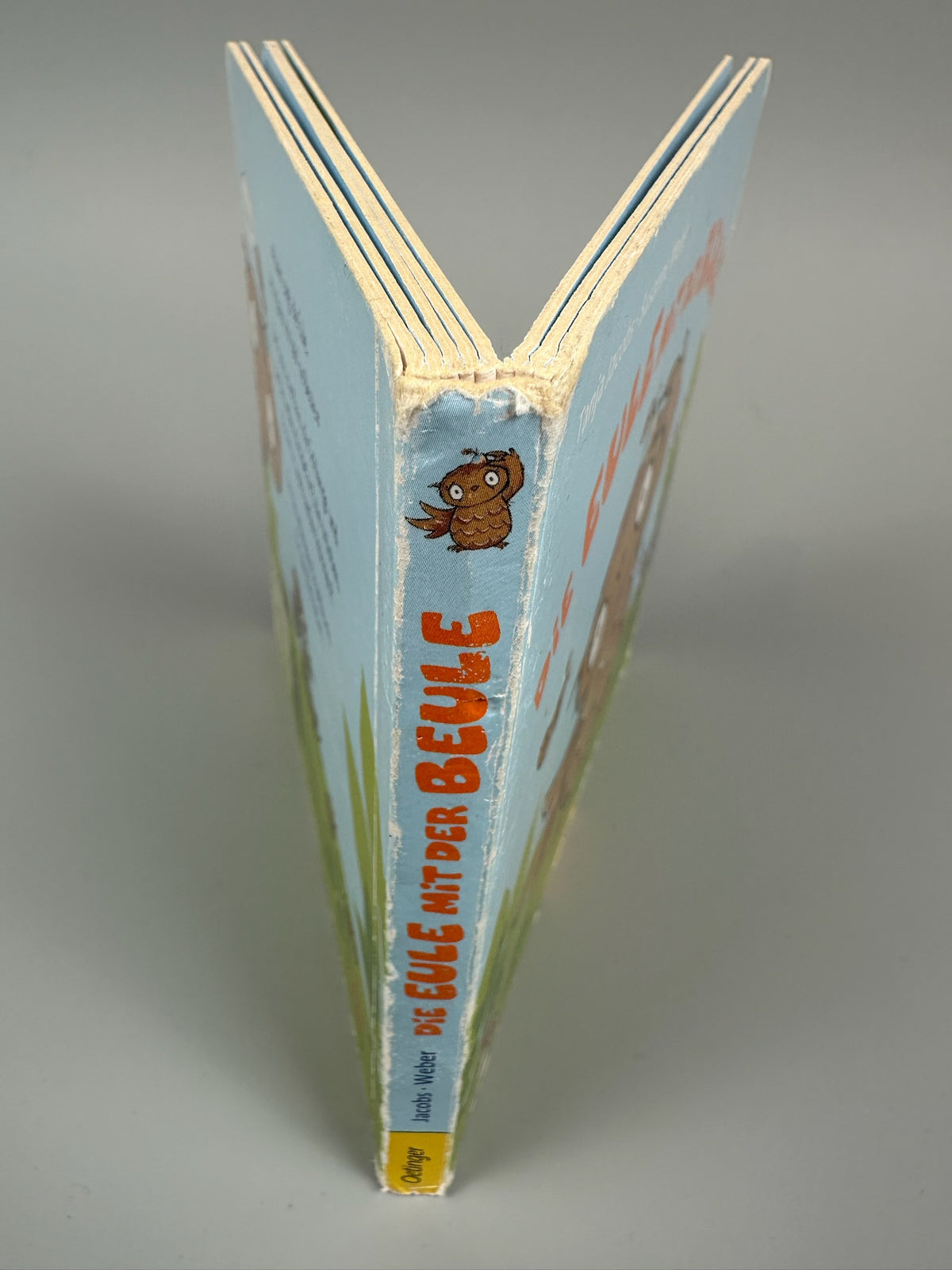 Die Eule mit der Beule - Tanja Jacobs