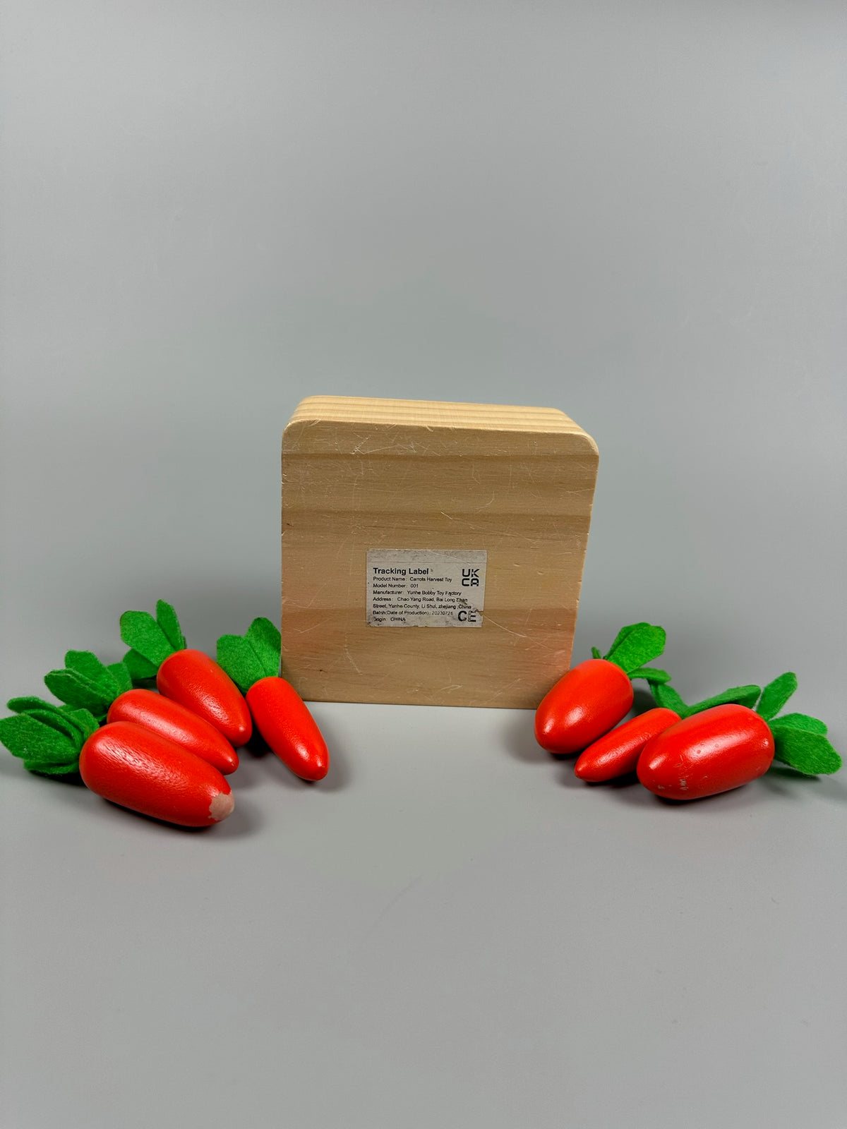 Montessori Karottensteckspiel