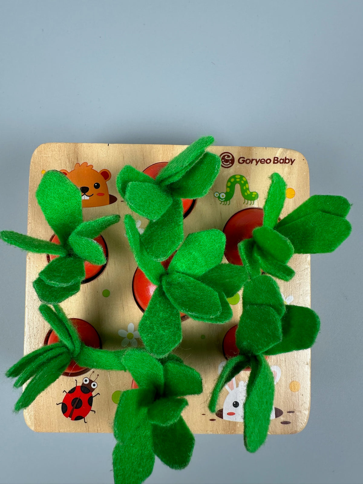 Montessori Karottensteckspiel