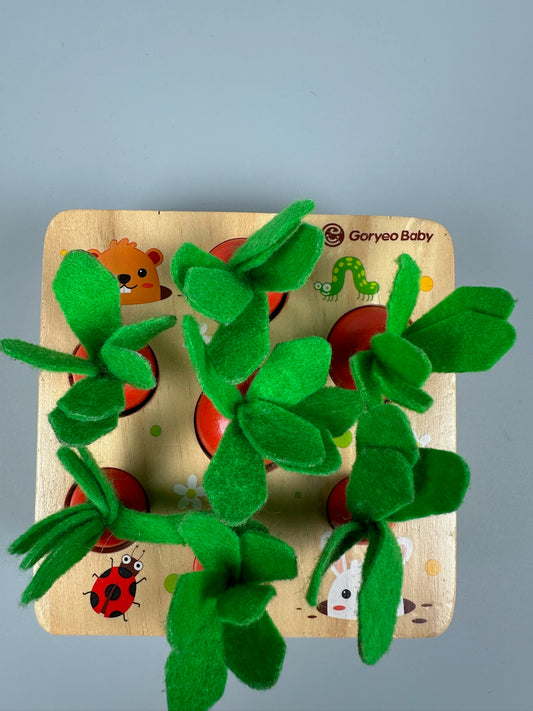 Montessori Karottensteckspiel