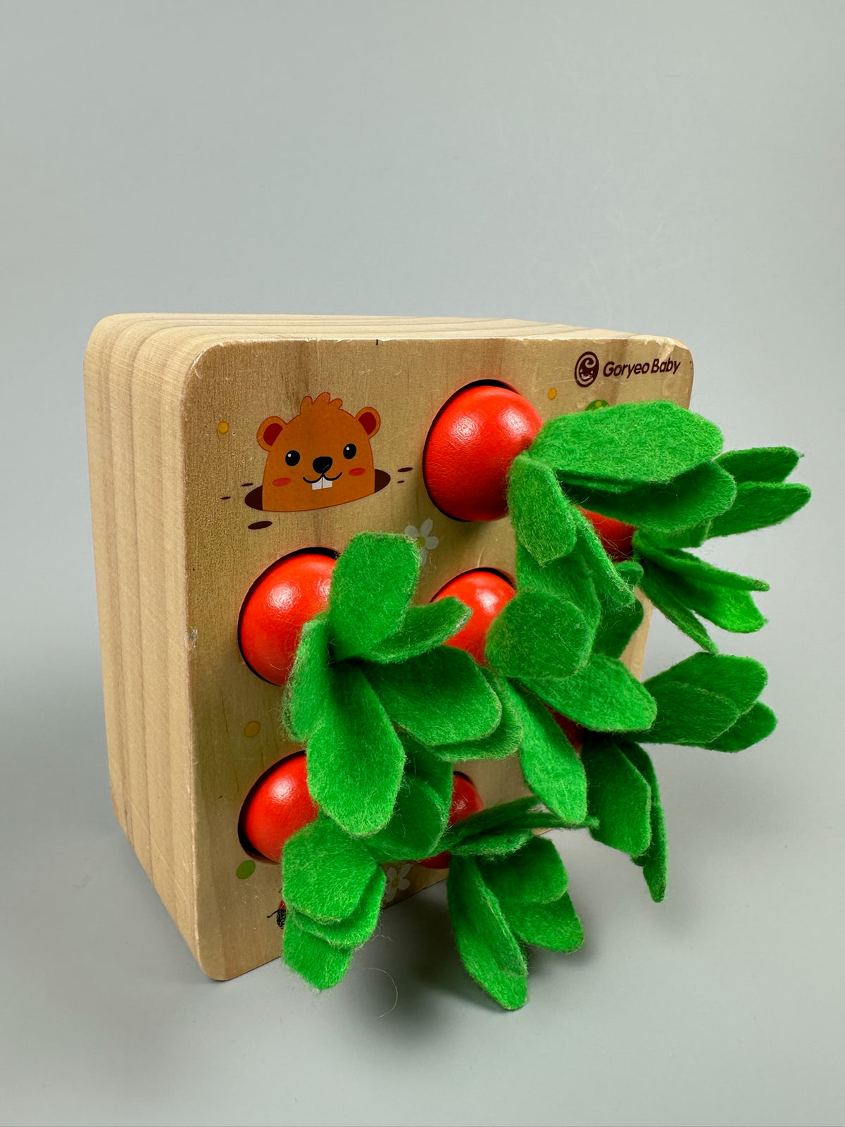 Montessori Karottensteckspiel