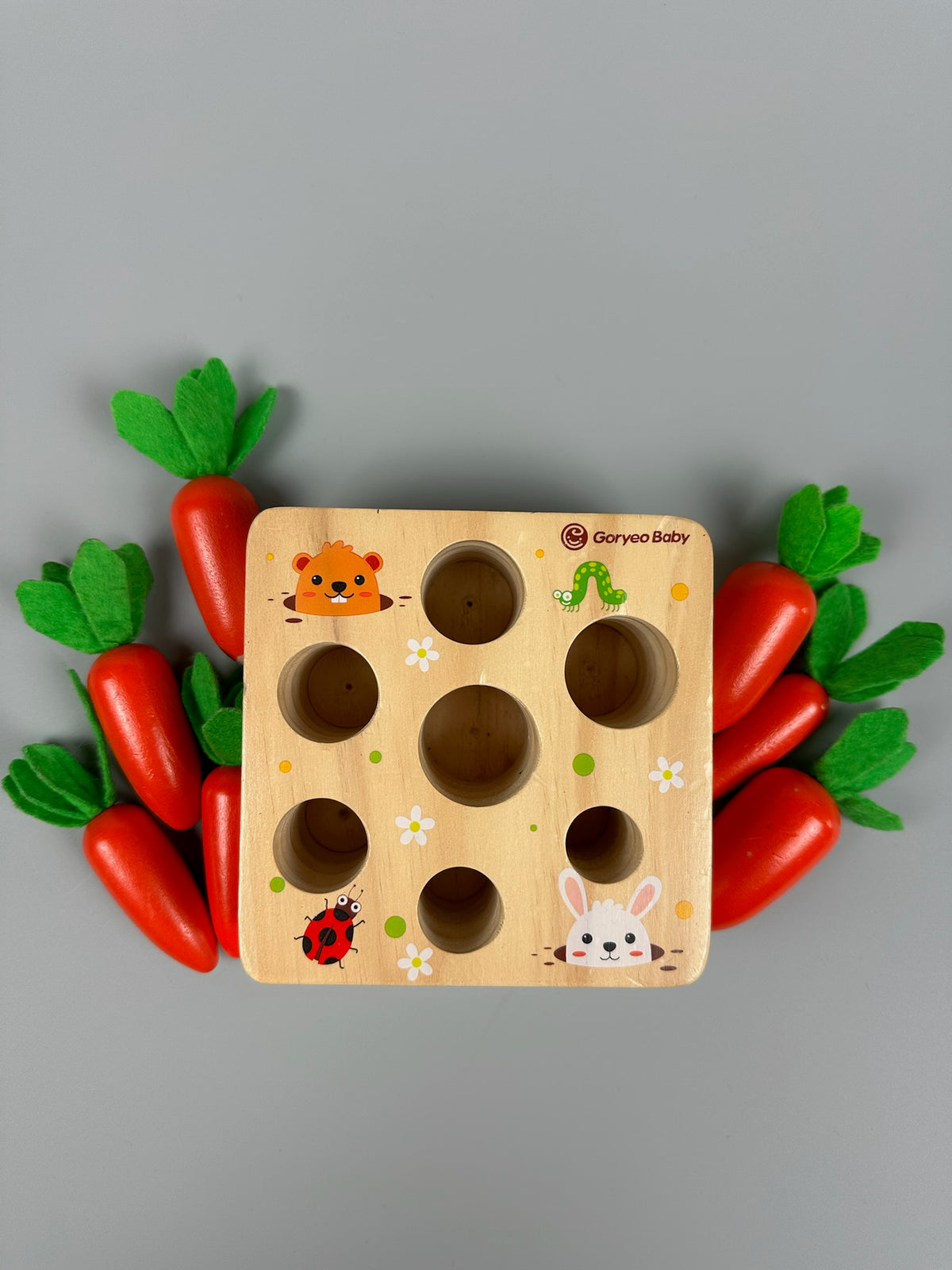 Montessori Karottensteckspiel